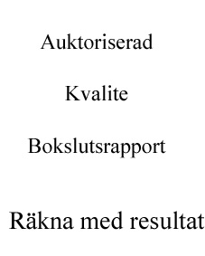 CG Lindstr�ms Ekonomi & Programtj�nst